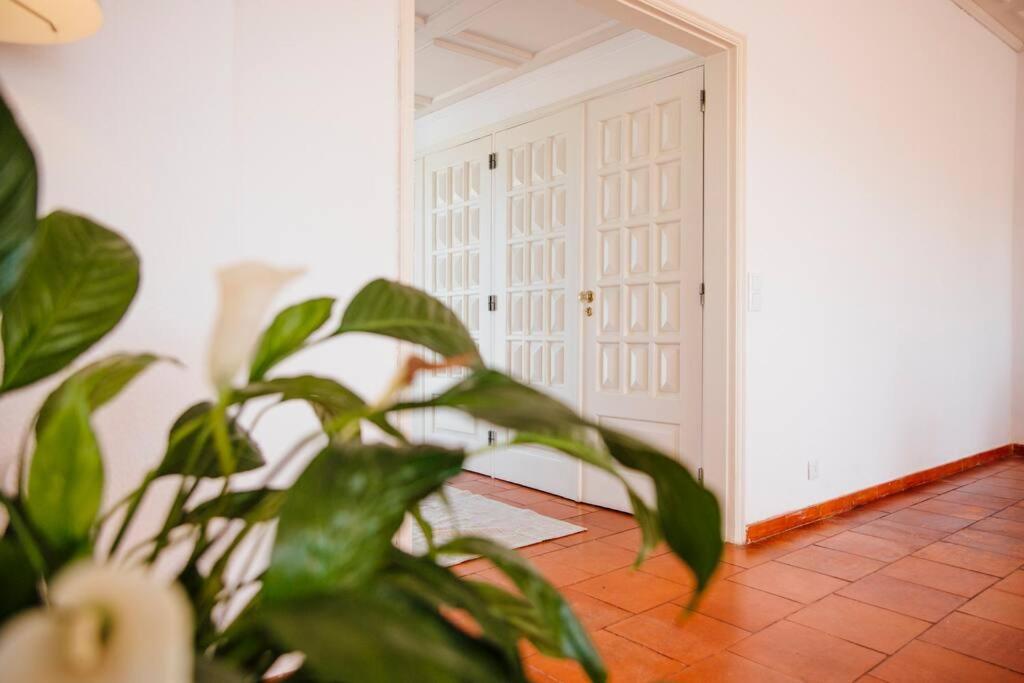Penthouse S.Jorge Seaview T4 Appartement Quarteira Buitenkant foto